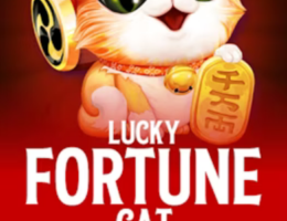 Lucky Fortune Cat