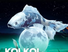 koi koi treasrue